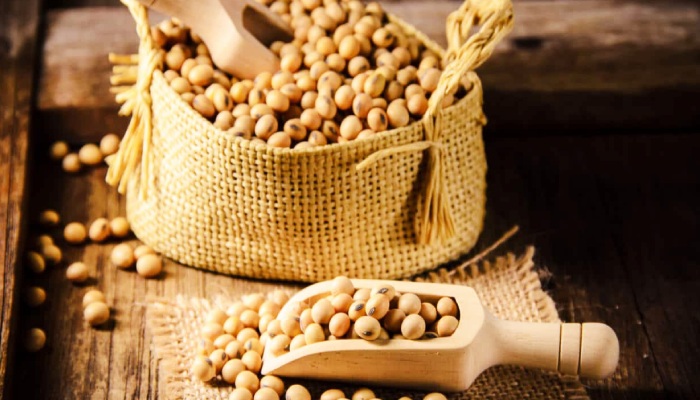 What is Nattokinase? understanding its origins and composition